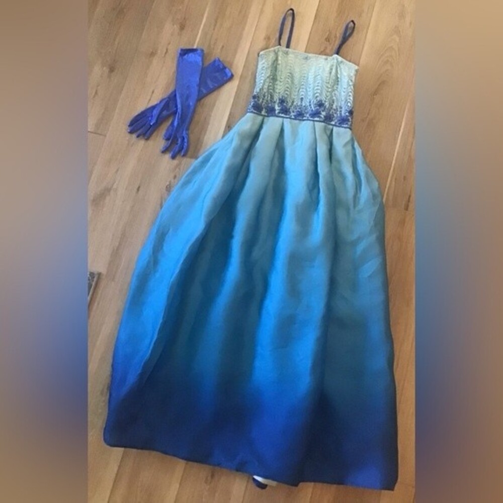 Vintage Formal Ombré Maxi Dress W/ matching Gloves S